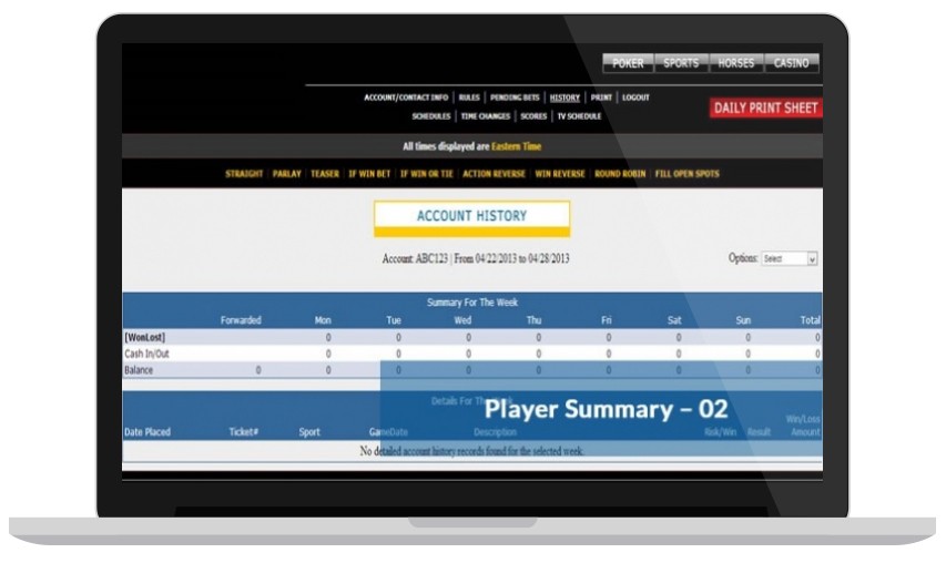 Bookie Software Player Summary - Online Betting Software for Bookies & Bettors