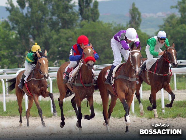 Read more about the article Bookie Tips – Should You Open Your Bookie Racebook to Your Players?